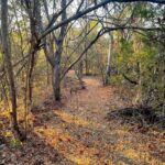 Terreno en venta a pasos de Playa La Boquilla, Oaxaca - Galería