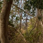 Terreno en venta a pasos de Playa La Boquilla, Oaxaca - Galería