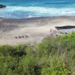 Terreno con Cabañas y Vistas al Mar en Playa Mermejita, Oaxaca - Galería