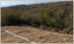Fraccionamiento Roma | Lotes en venta en Playa Zipolite