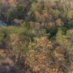 Terreno en venta en Zipolite con vistas al mar, agua y luz - Galería