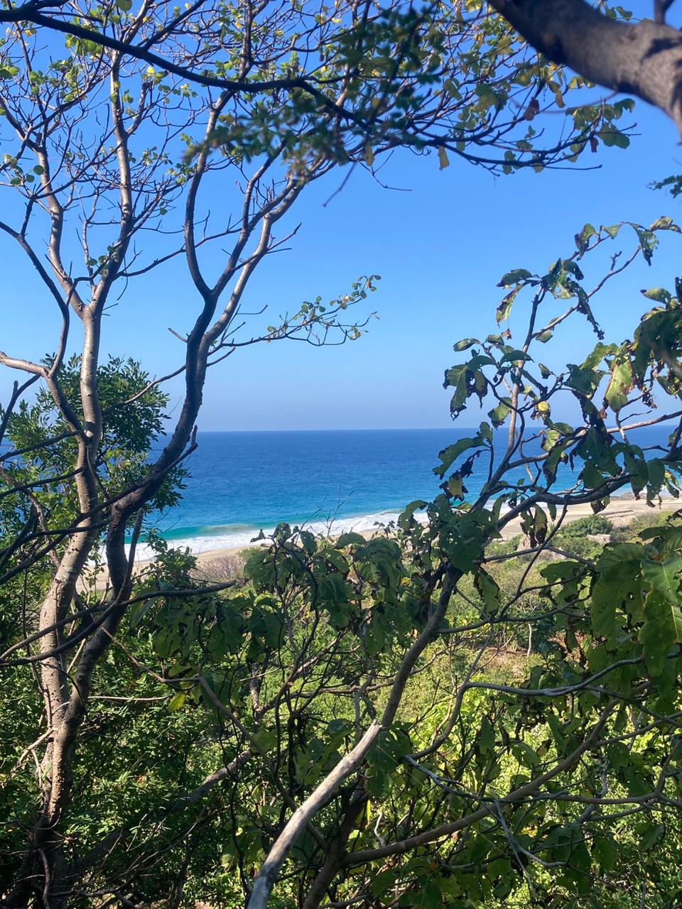 Terreno en venta en Mermejita, Mazunte, con vistas al mar