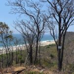 Terreno en venta en Mermejita, Mazunte, con vistas al mar - Galería