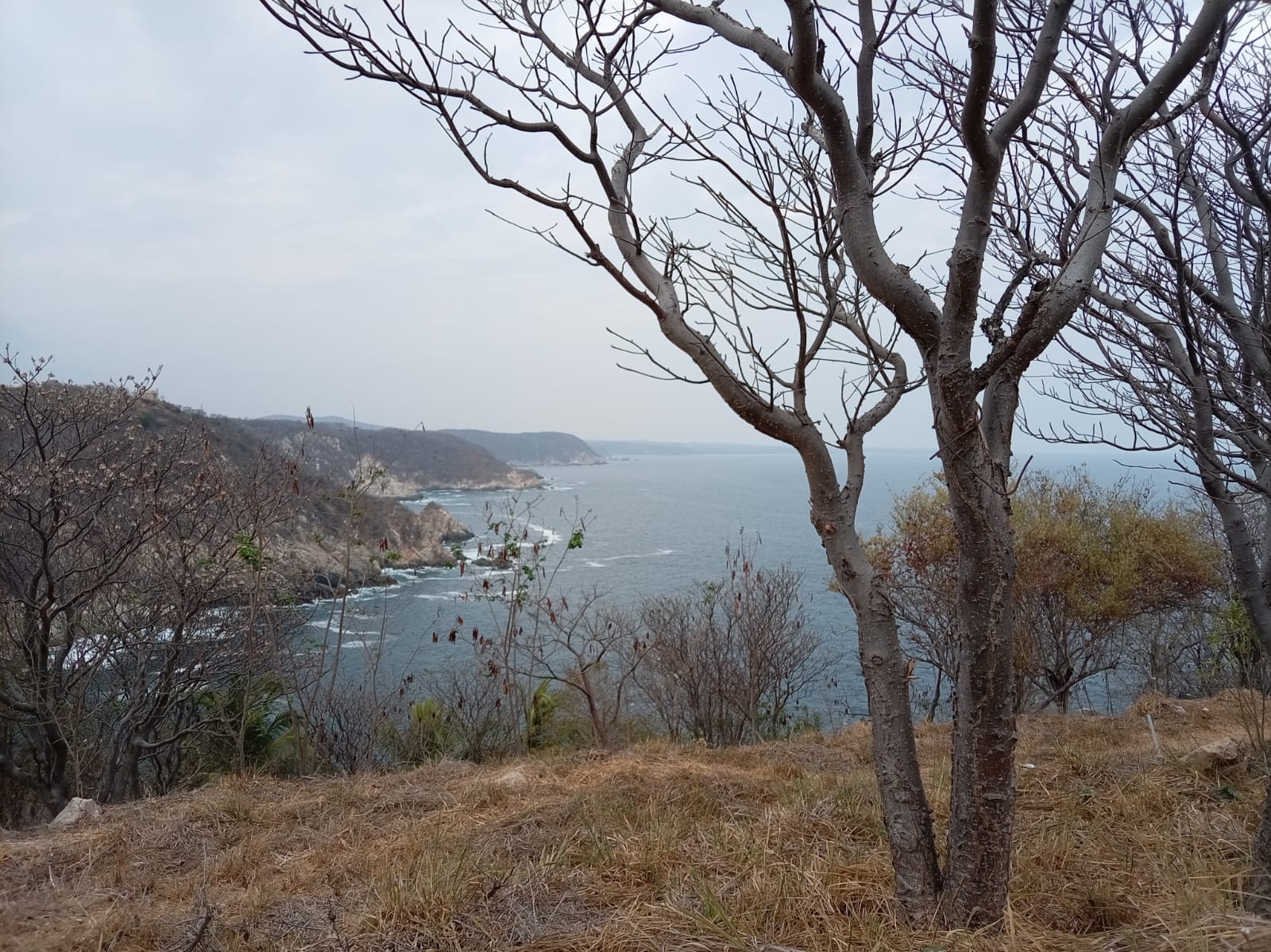 Último terreno en venta en Estacahuite, Puerto Ángel, con vistas al mar