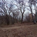 Último terreno en venta en Estacahuite, Puerto Ángel, con vistas al mar - Galería