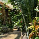 Hotel en venta a 300 m de la playa Zipolite Oaxaca - Galería
