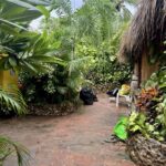 Hotel en venta a 300 m de la playa Zipolite Oaxaca - Galería